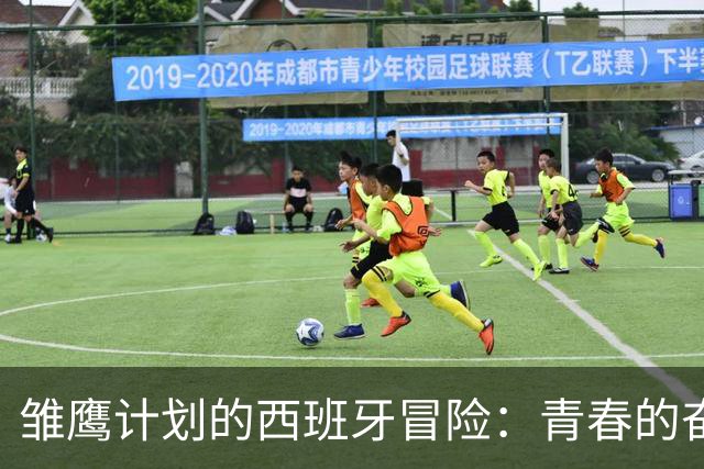 雏鹰计划的西班牙冒险：青春的奋斗与成长